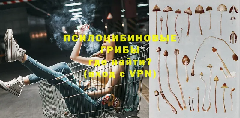 Галлюциногенные грибы MAGIC MUSHROOMS  продажа наркотиков  Крым 